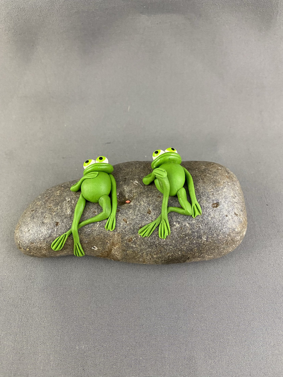 “Stargazing” Frogs on Rock