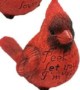 Love is Near Cardinals