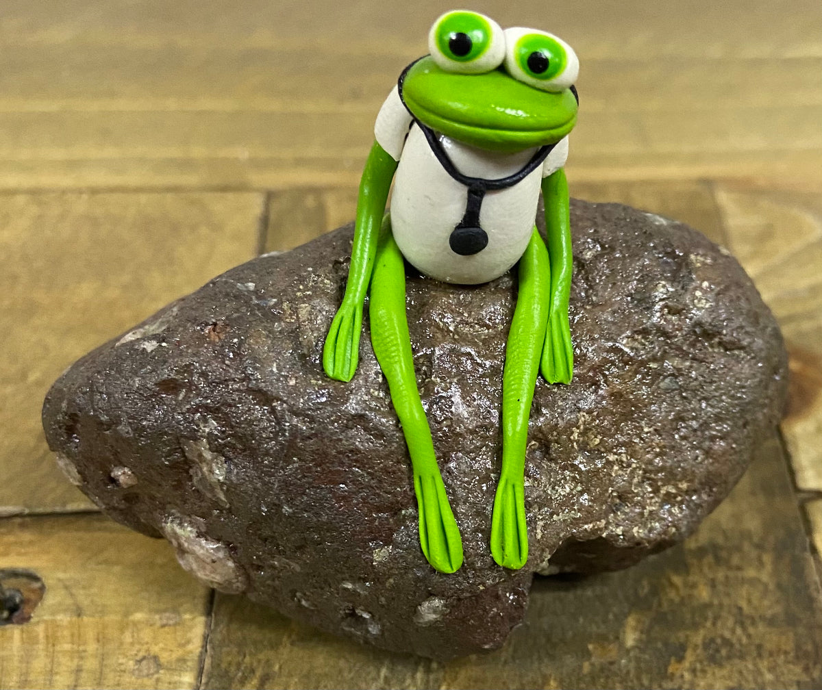 “Dr. Frog” Frogs on Rock