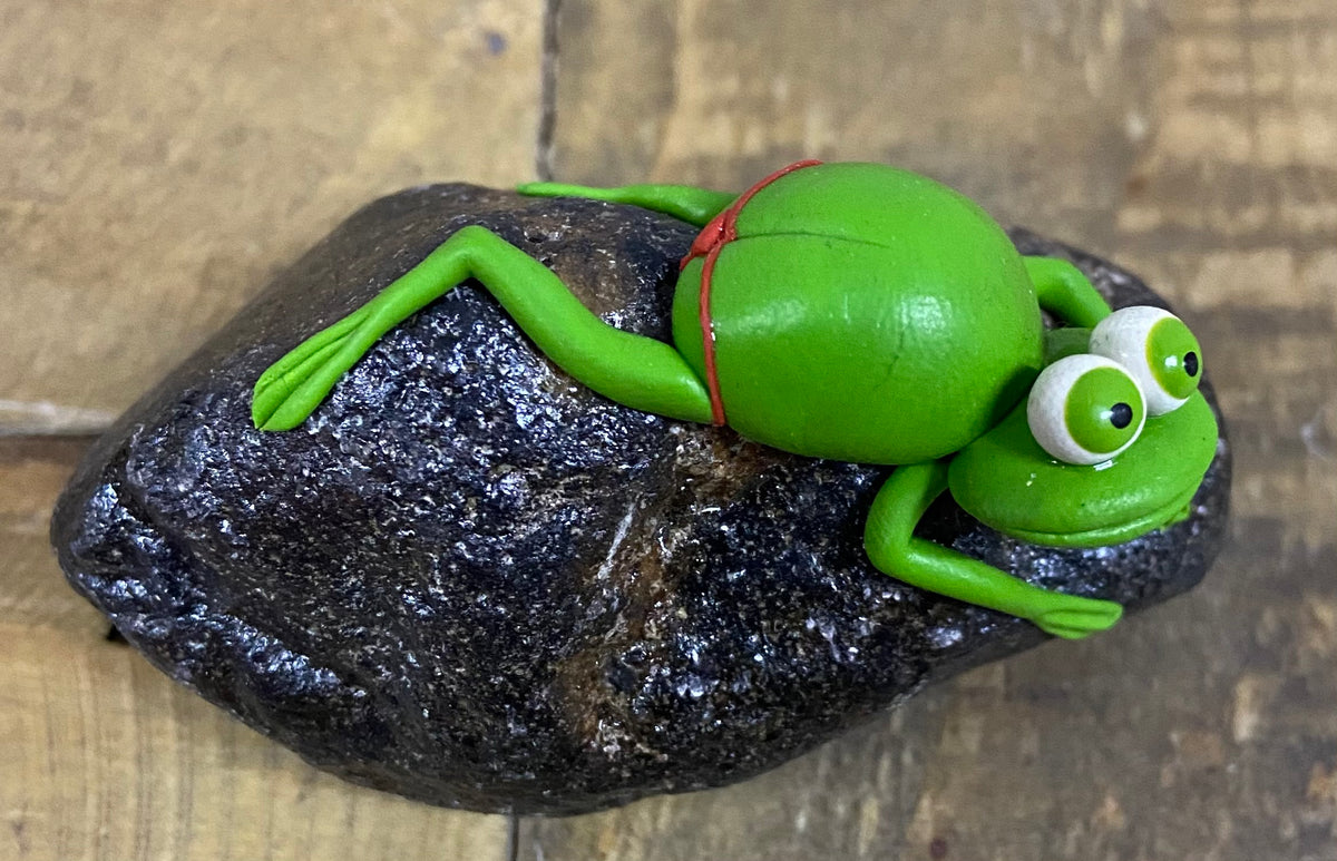 “Wearing a Thong” Frogs on Rock
