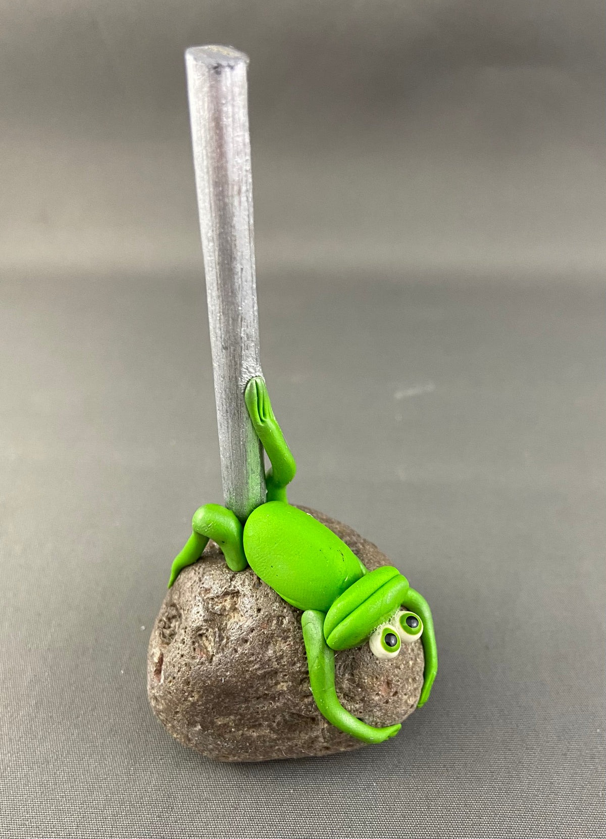 Exotic Dancing Frogs on Rock