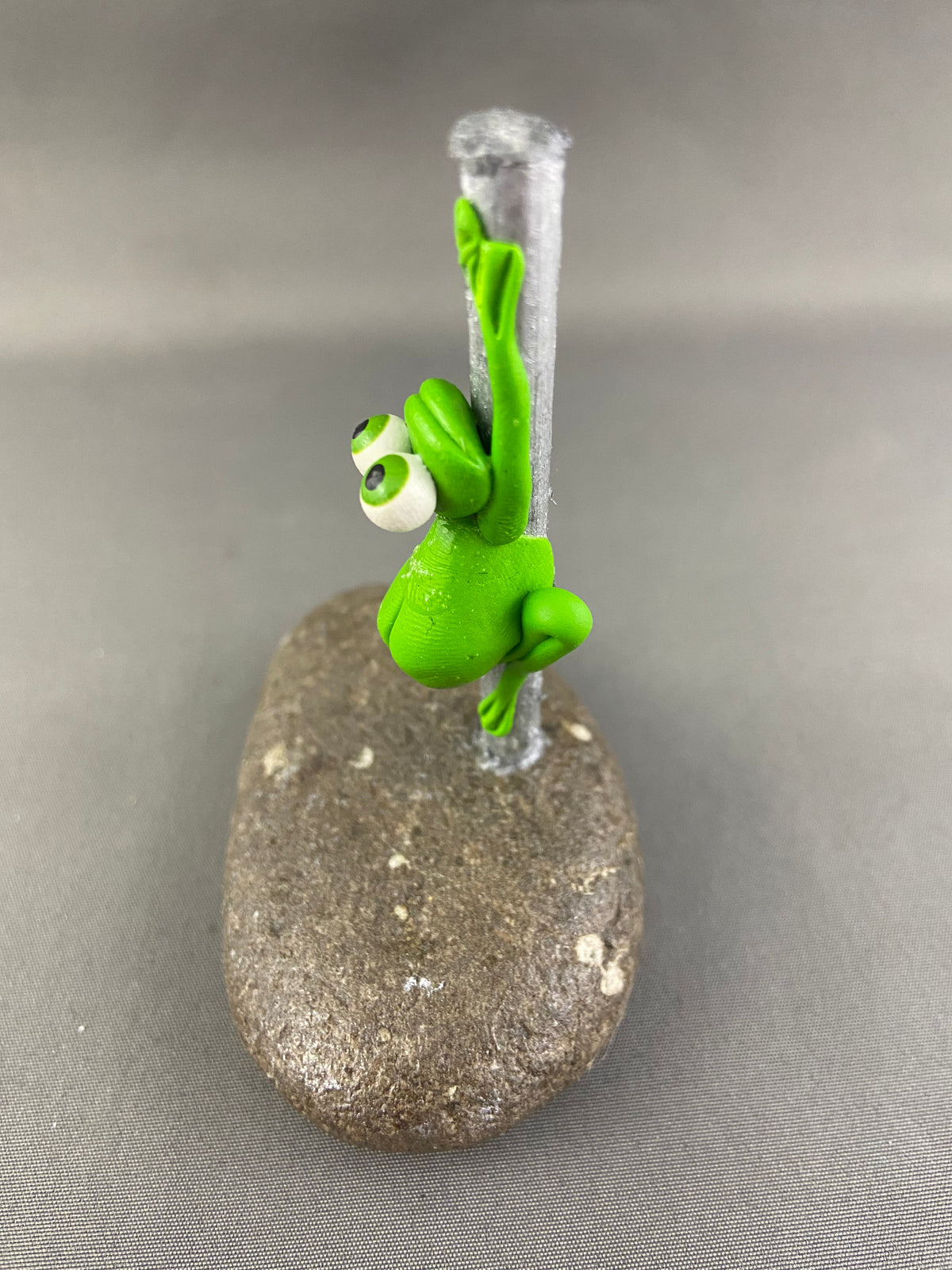 Exotic Dancing Frogs on Rock